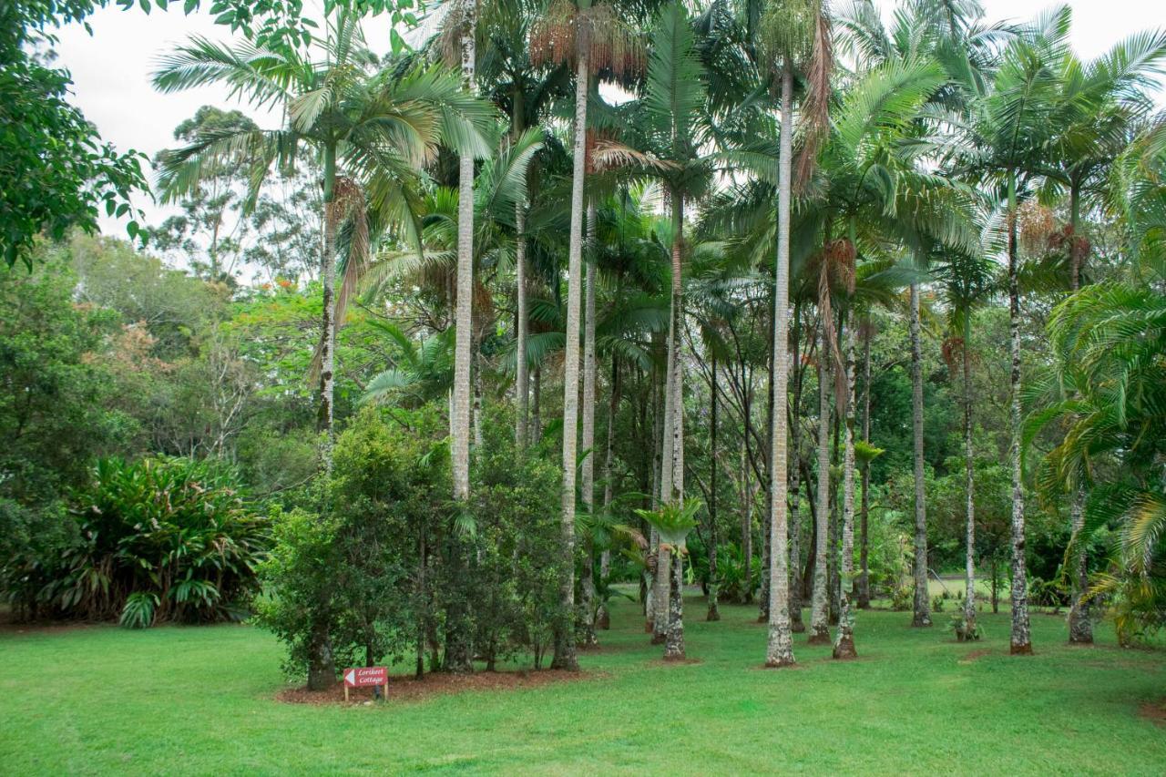Sunshine Valley Cottages Woombye ภายนอก รูปภาพ