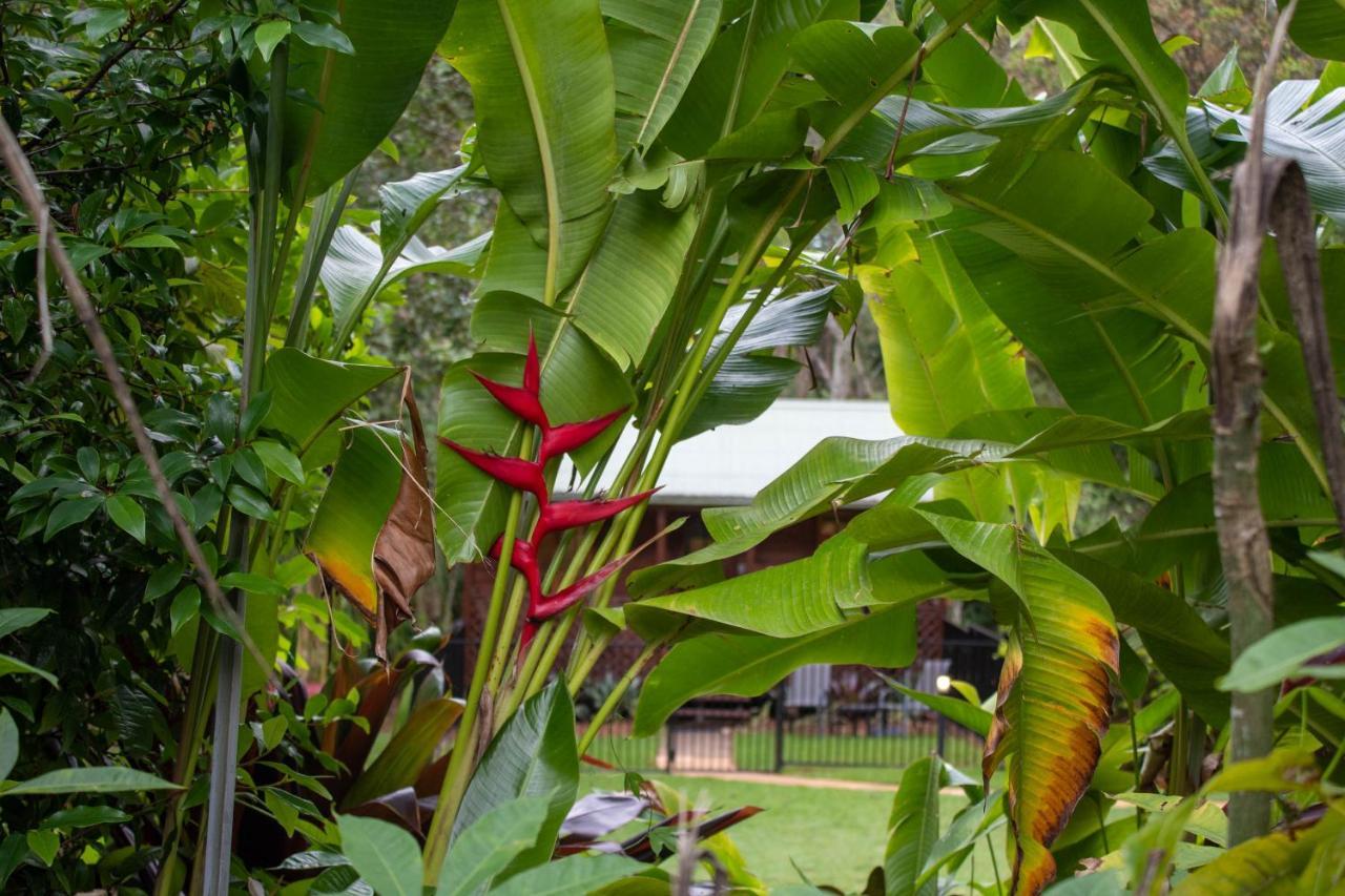 Sunshine Valley Cottages Woombye ภายนอก รูปภาพ