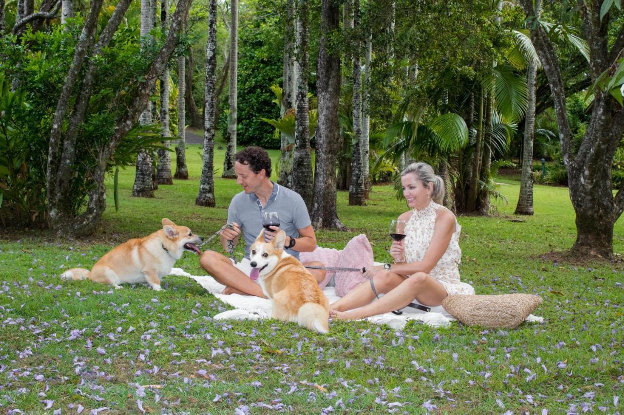 Sunshine Valley Cottages Woombye ภายนอก รูปภาพ